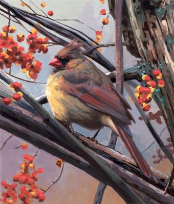 Cardinal (f)