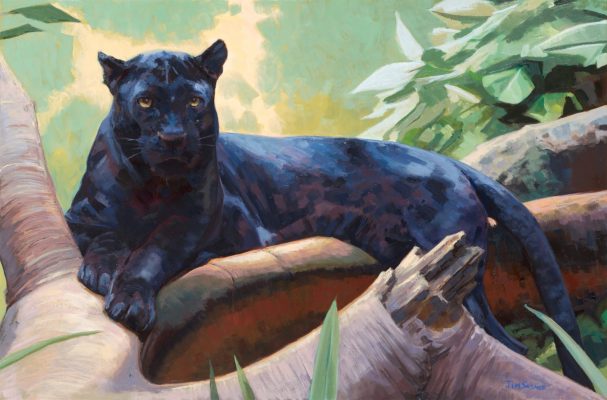 Panther