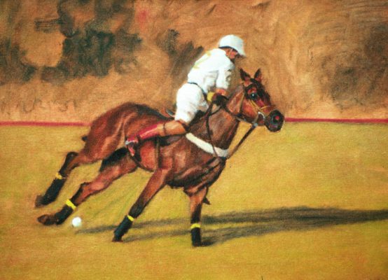 Polo 6