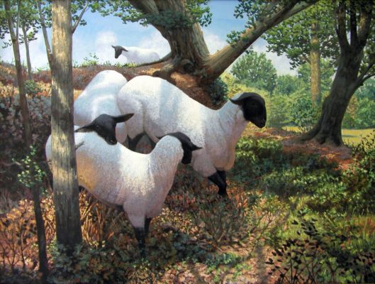 Suffolk Sheep