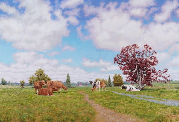 Dairy, Pasture and Sky